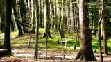 Tumulus 2 - Nahaufnahme